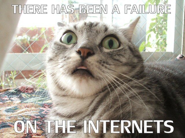 image: cat-internet-failure